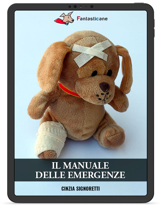 manuale emergenze