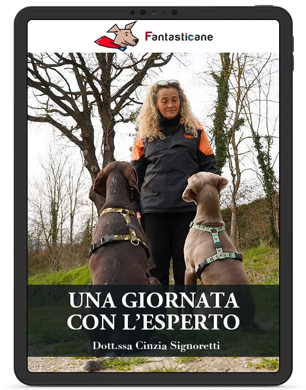 Giornata con esperto