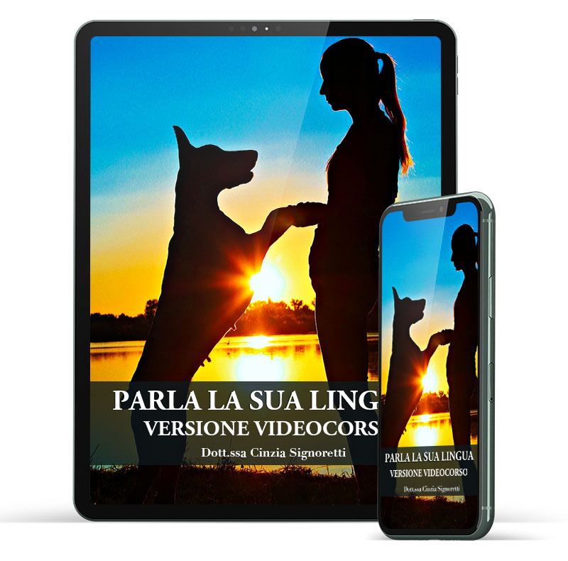 plsl videocorso