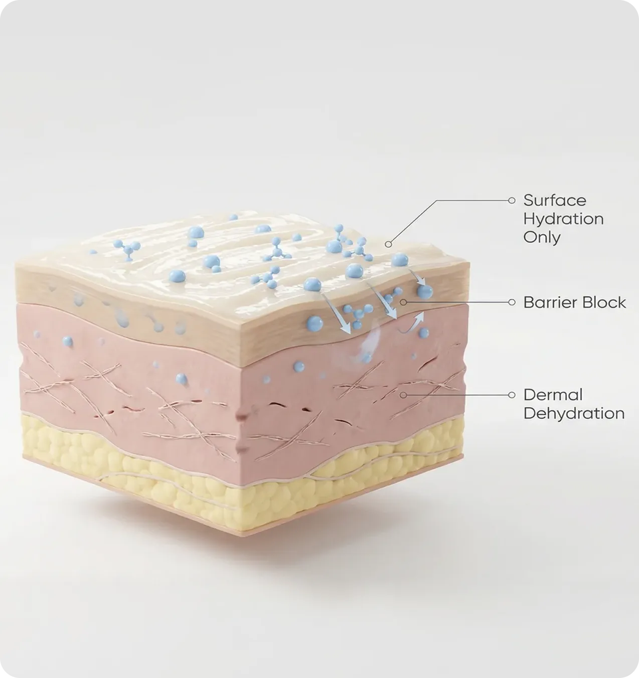 Surface hydration diagram