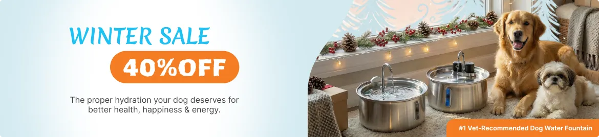 Special offer banner