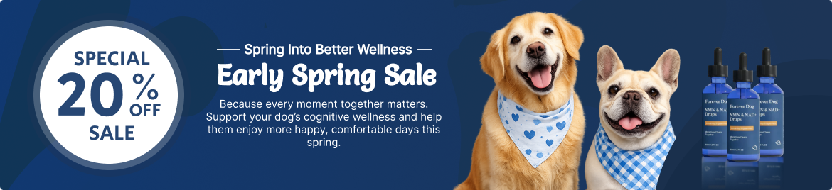 Special offer banner