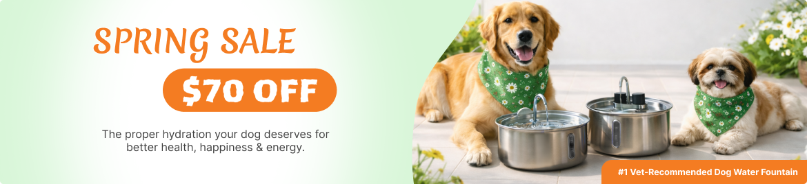 Special offer banner