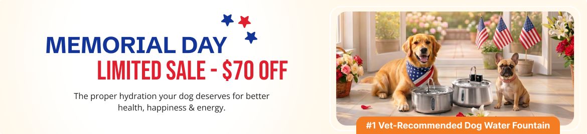 Special offer banner
