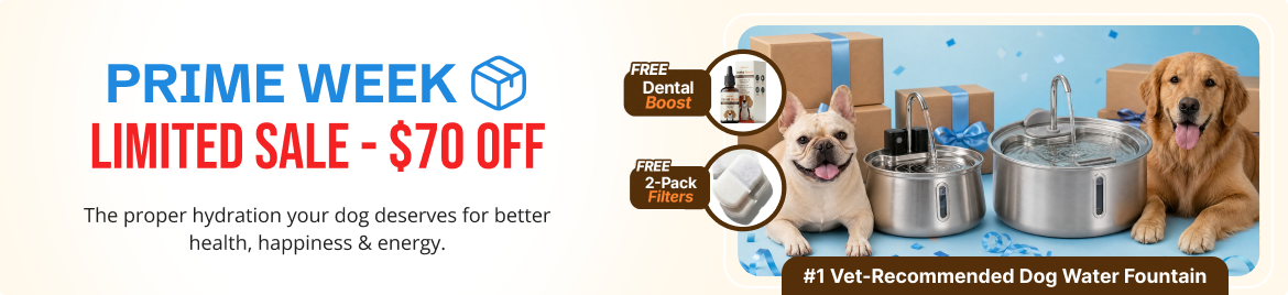 Special offer banner
