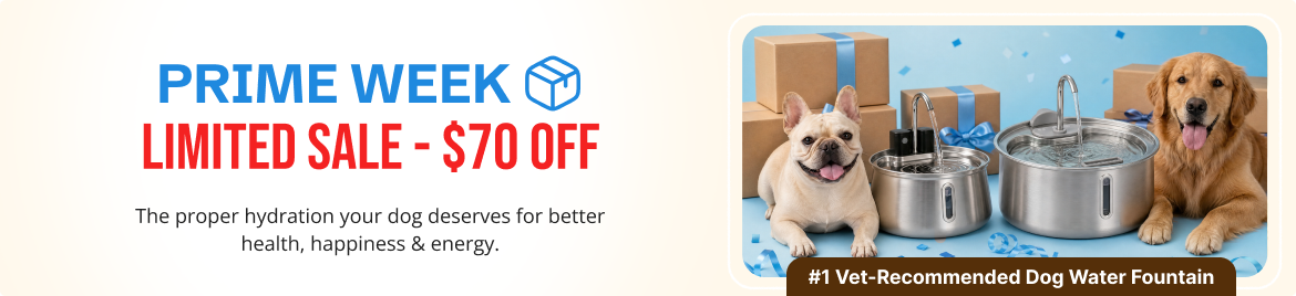 Special offer banner