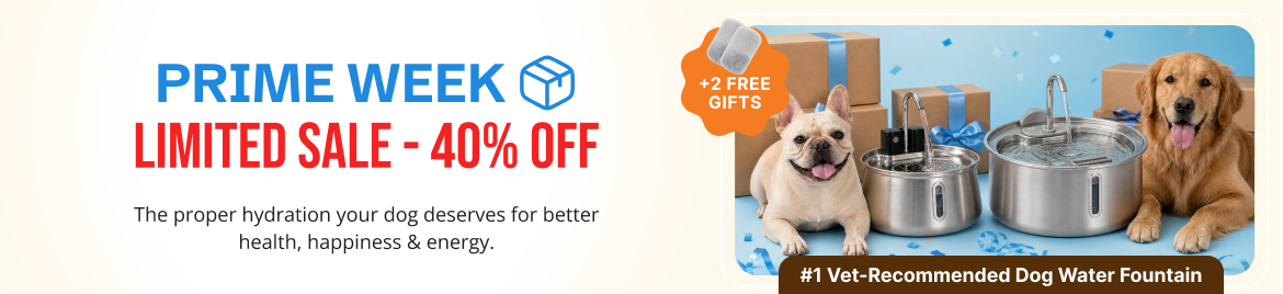Special offer banner