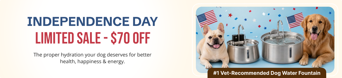 Special offer banner