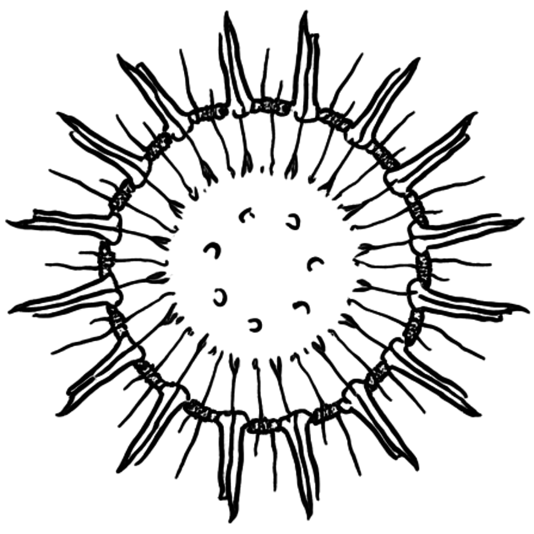 usp-icon