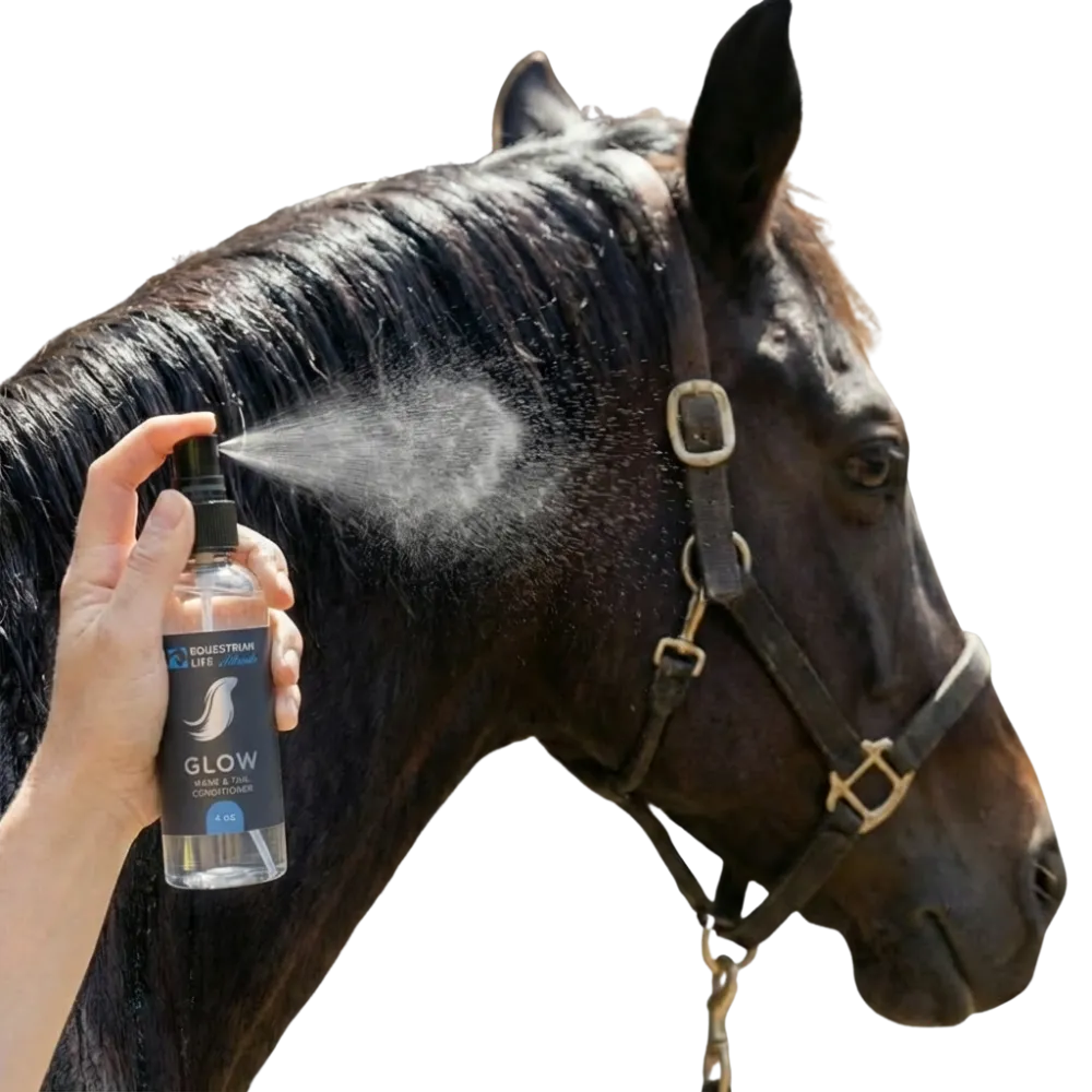 Bag of Maïa ceremonial cacao spilling chocolate pieces.