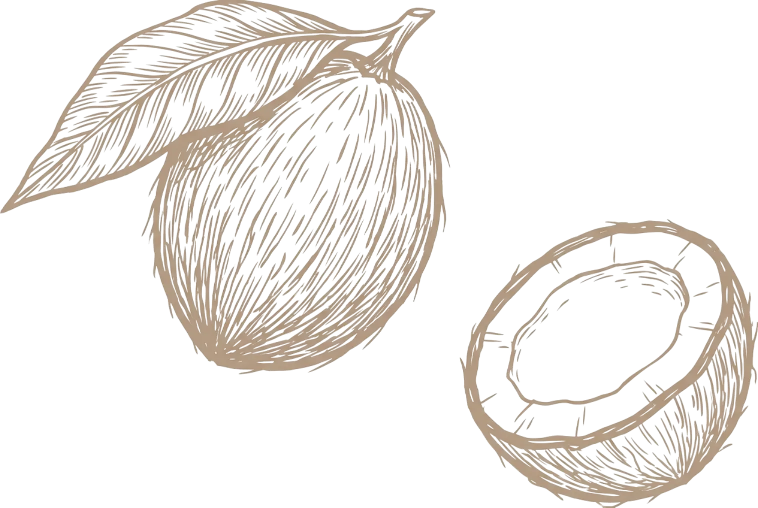 Abstract illustration of a pink maize ear.