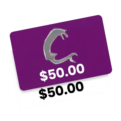 Wellness Copper Adjustable Bracelet