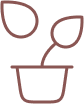 Advanced Delivery Icon