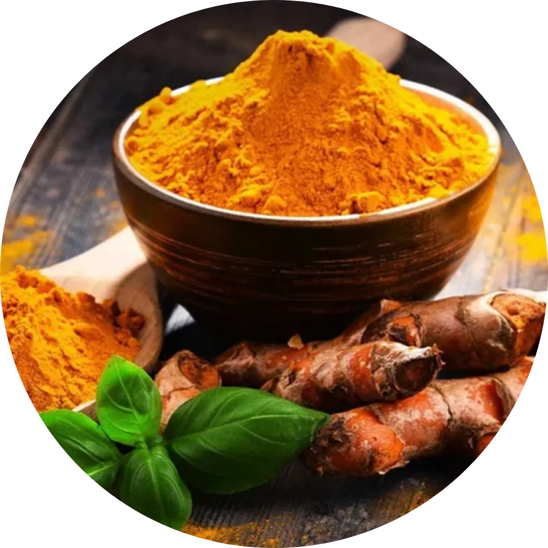 Zinc, Copper, Magnesium, and B6