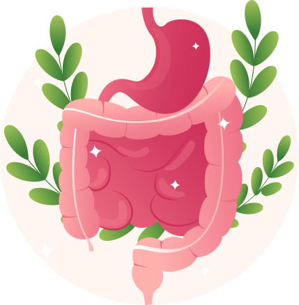 stomach