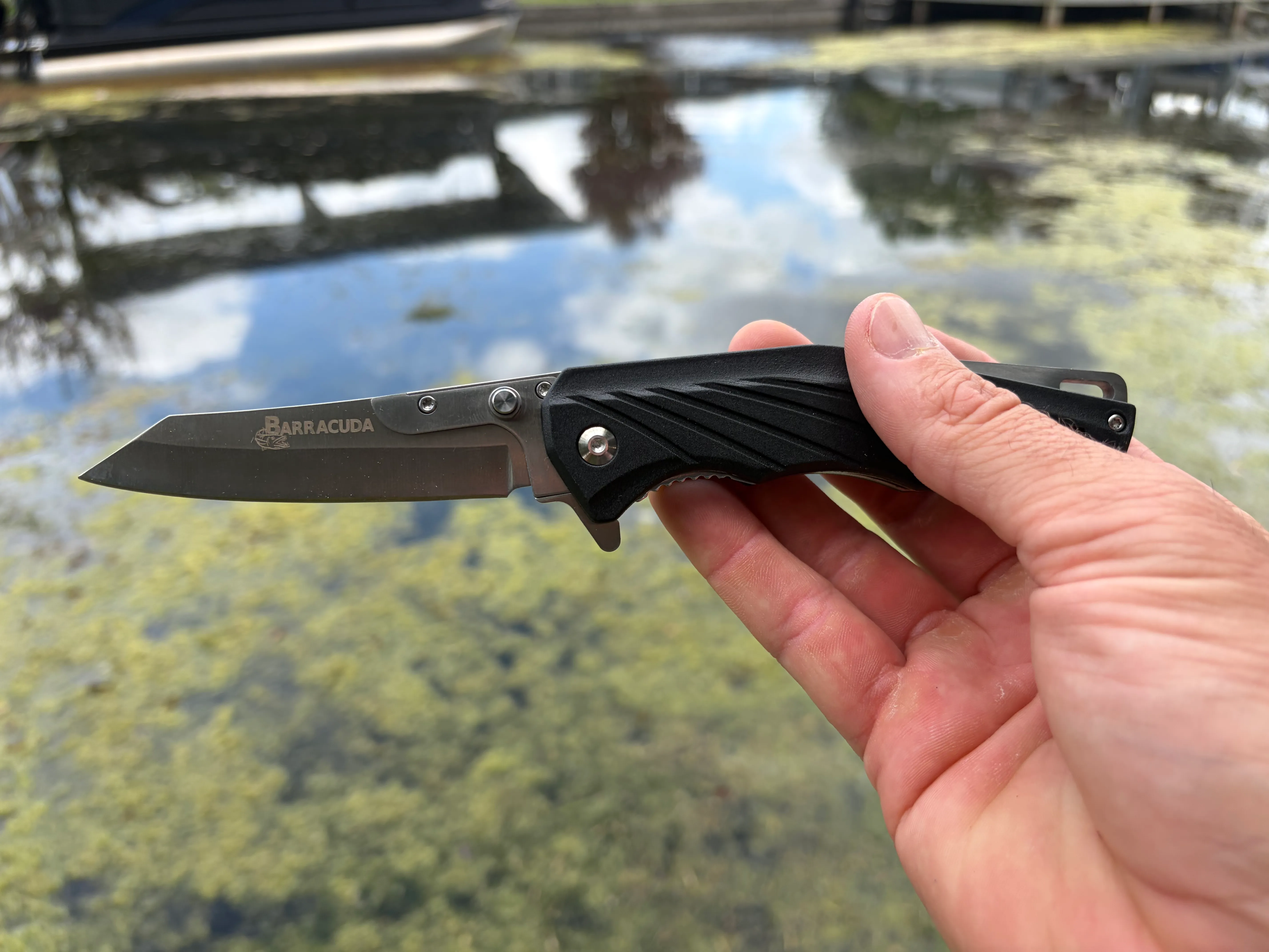 Barracuda at the lake