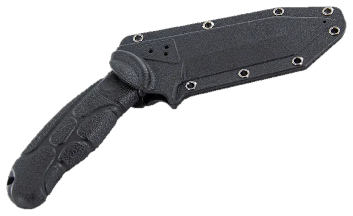 Scorpion in Sheath