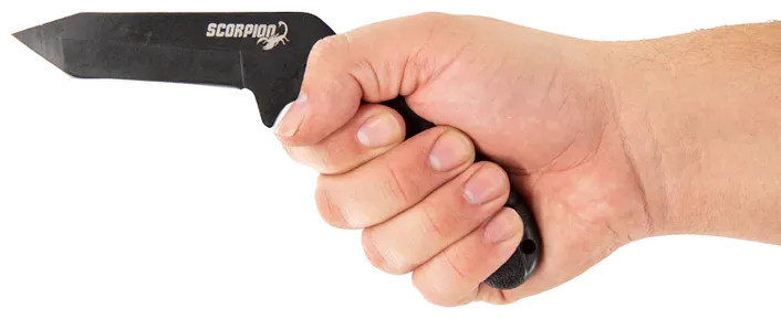Scorpion in hand