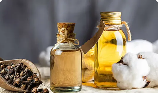 Plant-powered formula