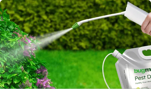 Effective on various pests