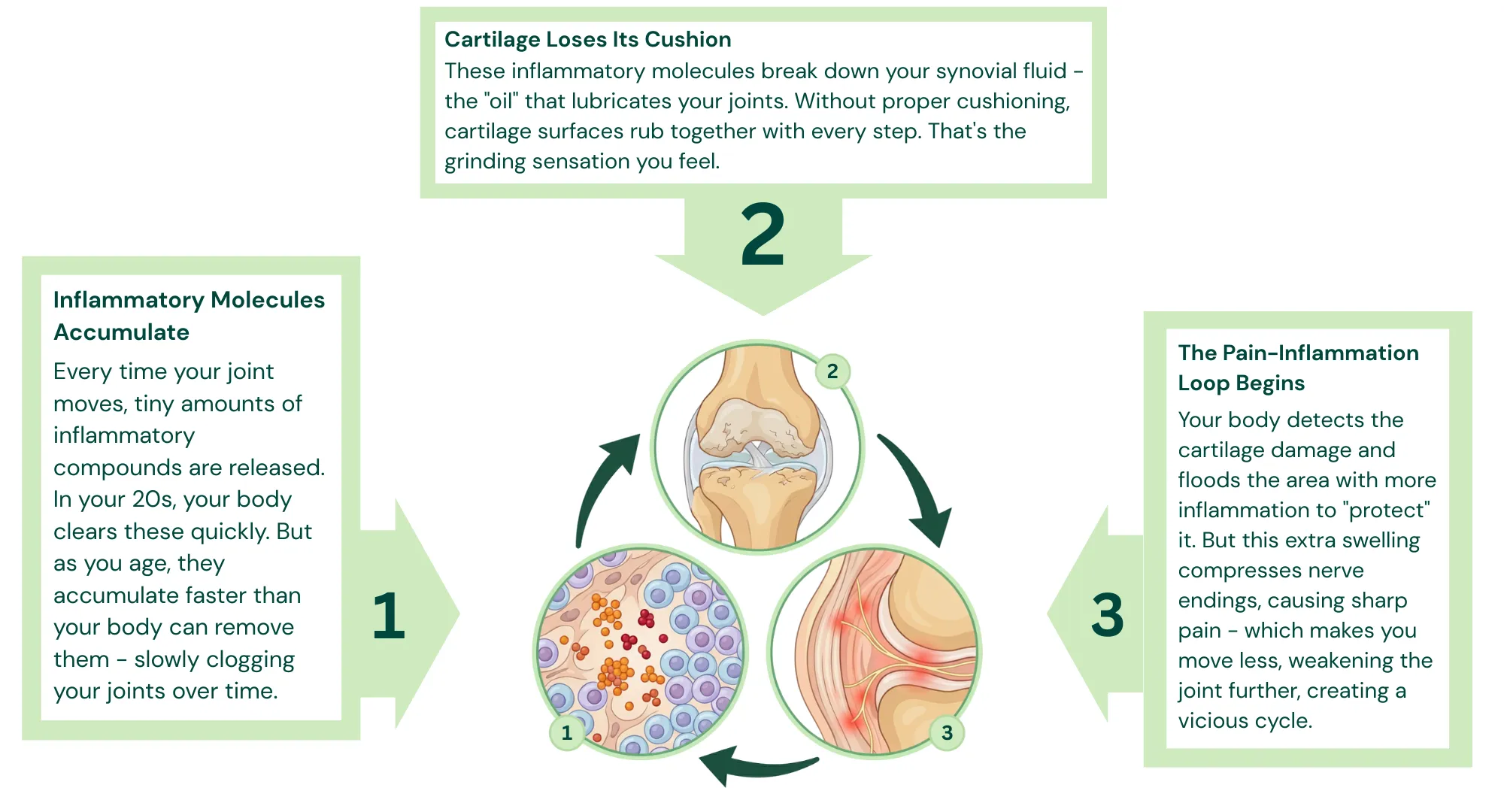 Joint Pain Illustration