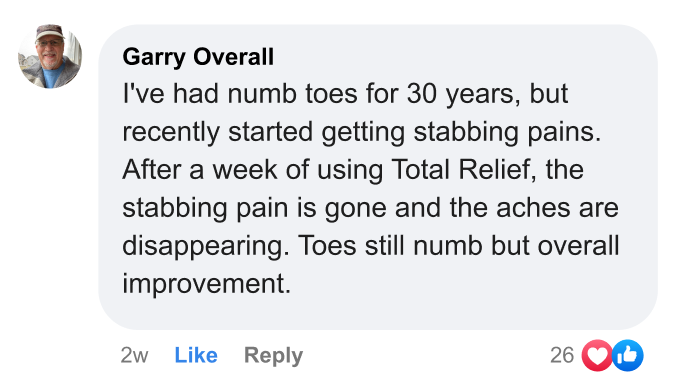 0 Elizabeth Miller.webp