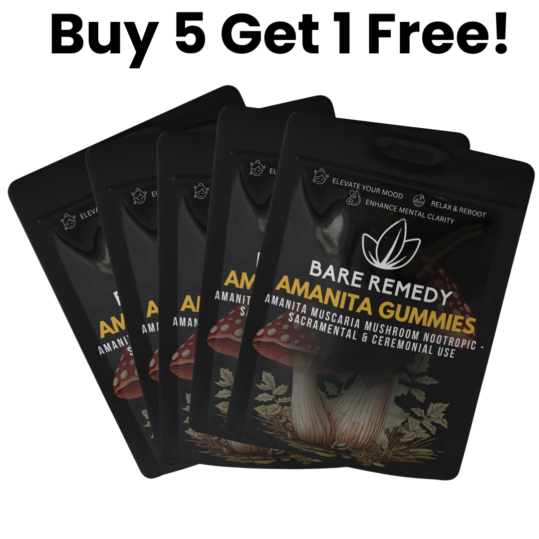 6 Packs Amanita Gummies