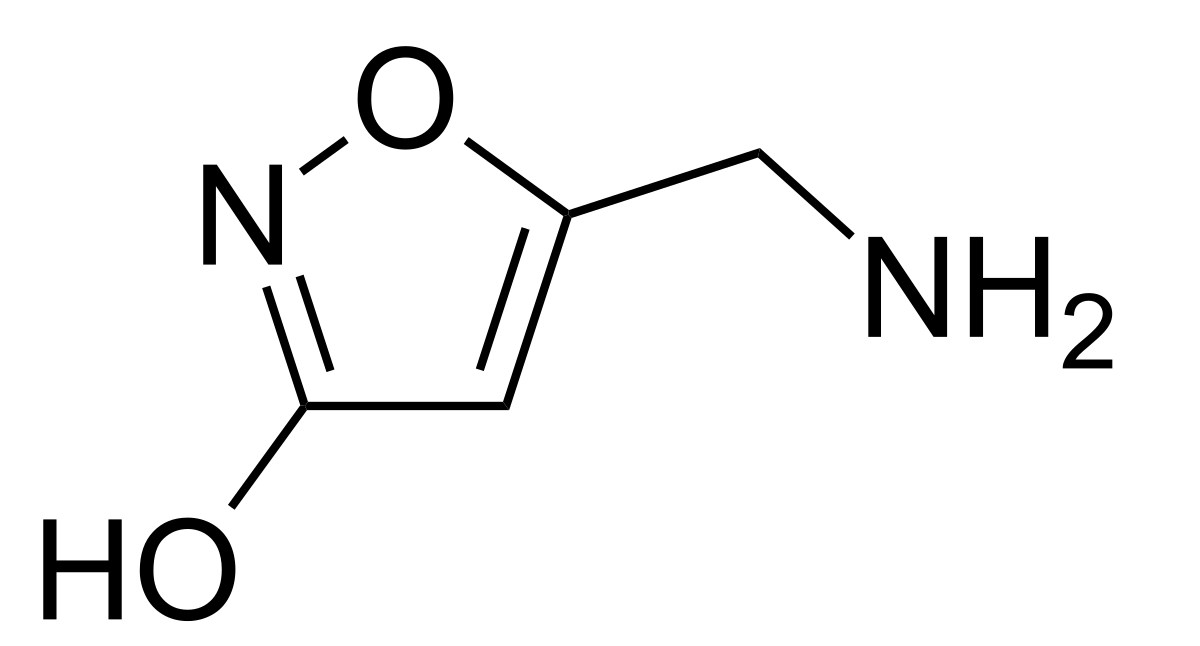 Muscimol