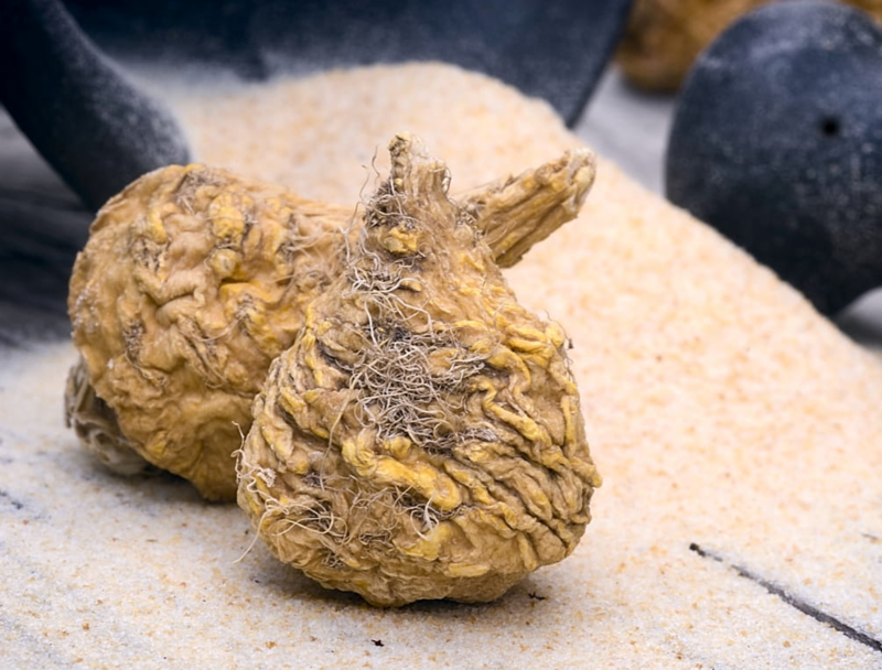 Maca Root