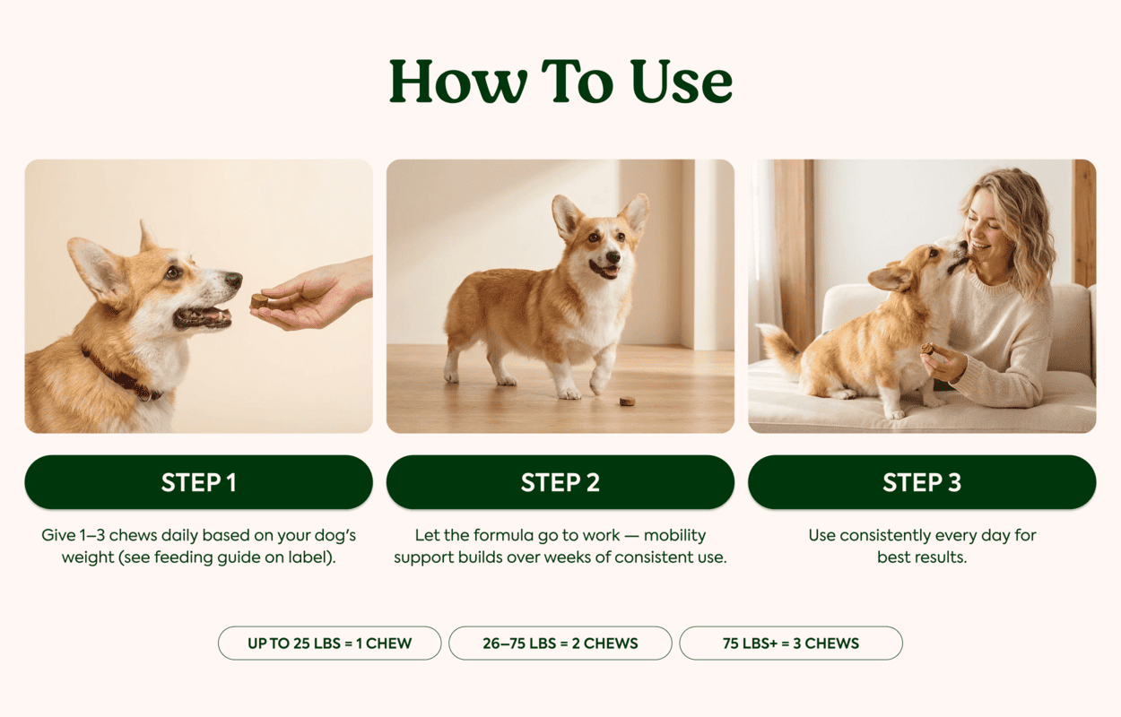 Rejuvapaw Hip & Joint Chews