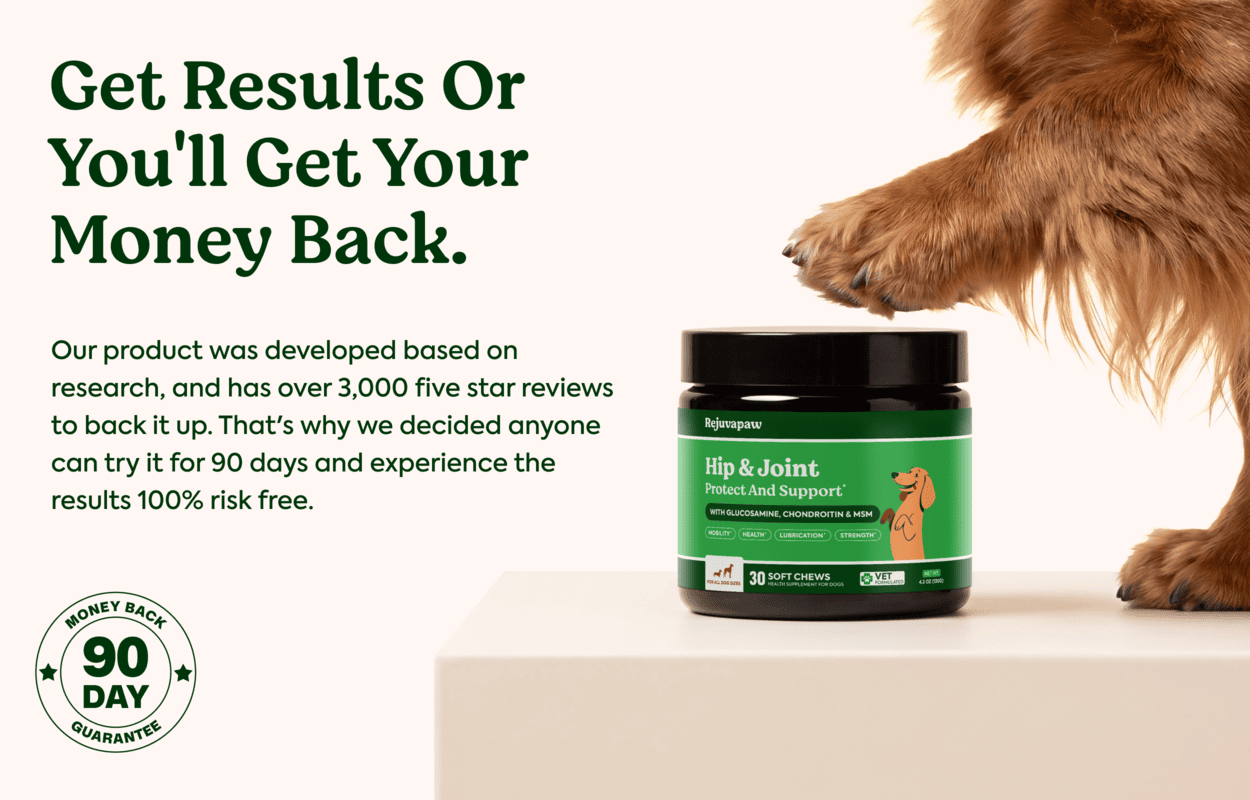 Rejuvapaw Hip & Joint Chews