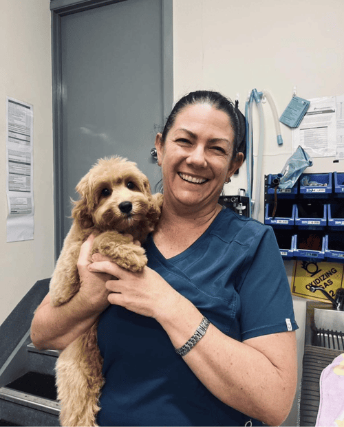 Dr. Rachel Torres
