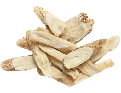 Clove