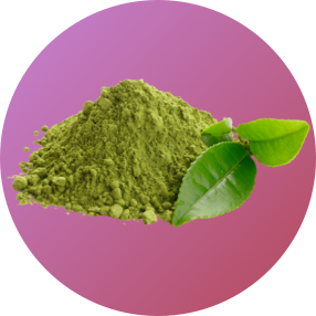 Green Tea Extract
