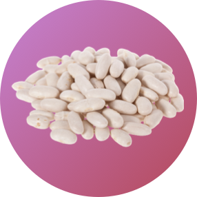 White Kidney Bean