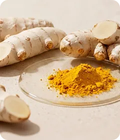 Oregano oil ingredient