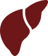 Liver