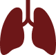 Lungs