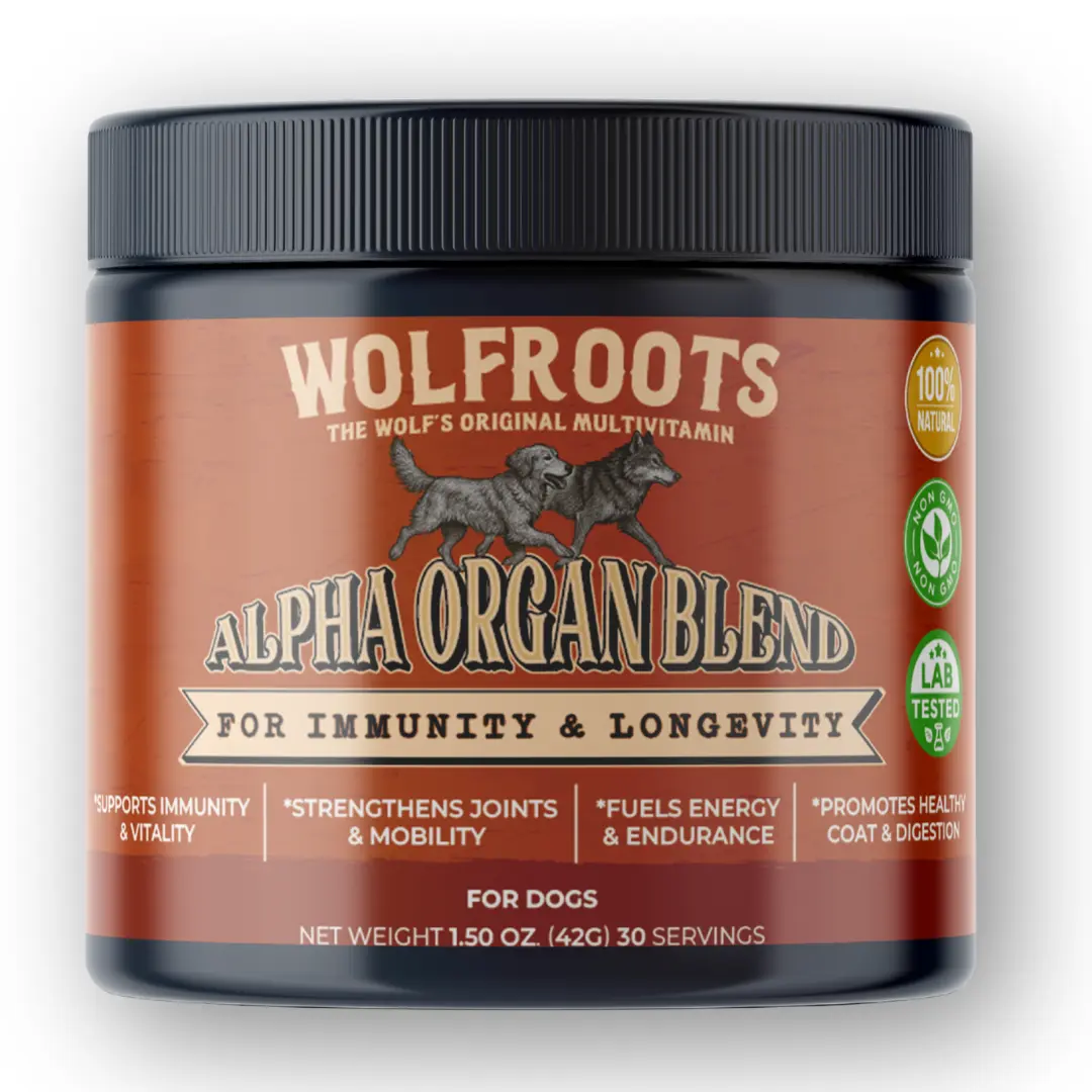 Wolfroots Marrow Code