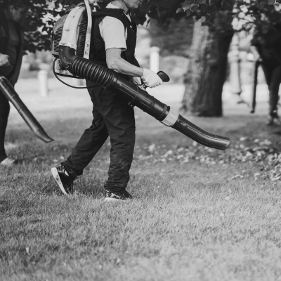 Traditional leaf blower