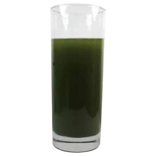 Genéricos