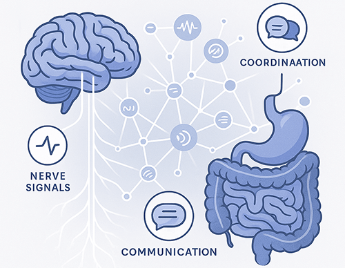 Exhibit E: The Broken Communication