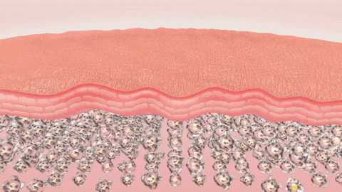 18-Stage Filtration SystemPurify Every Drop. Protect Every Pore