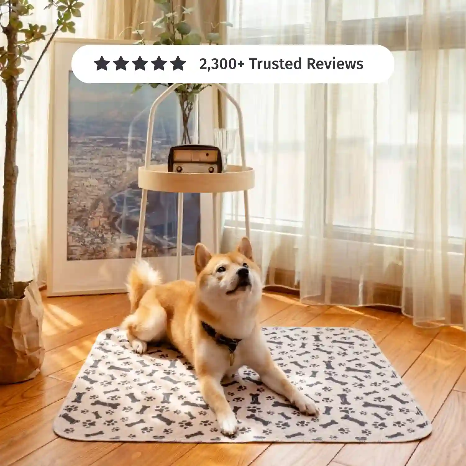 Shiba Inu On PuppyPad