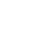 A pixelated, abstract geometric pattern resembling a flower.