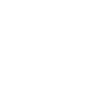 A pixelated, abstract geometric pattern resembling a flower.