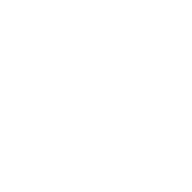 A pixelated, abstract geometric pattern resembling a flower.