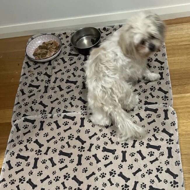 1742333476480 1726789914267 review 1