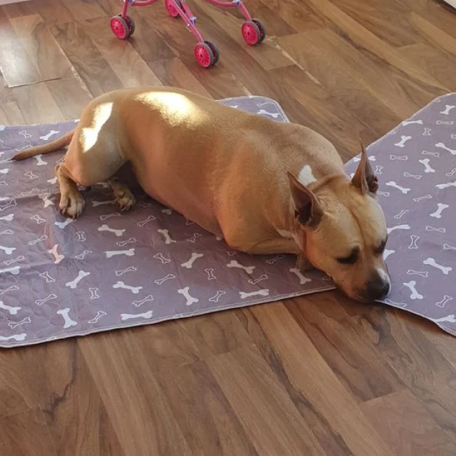 1742333524967 1726789976122 review 4