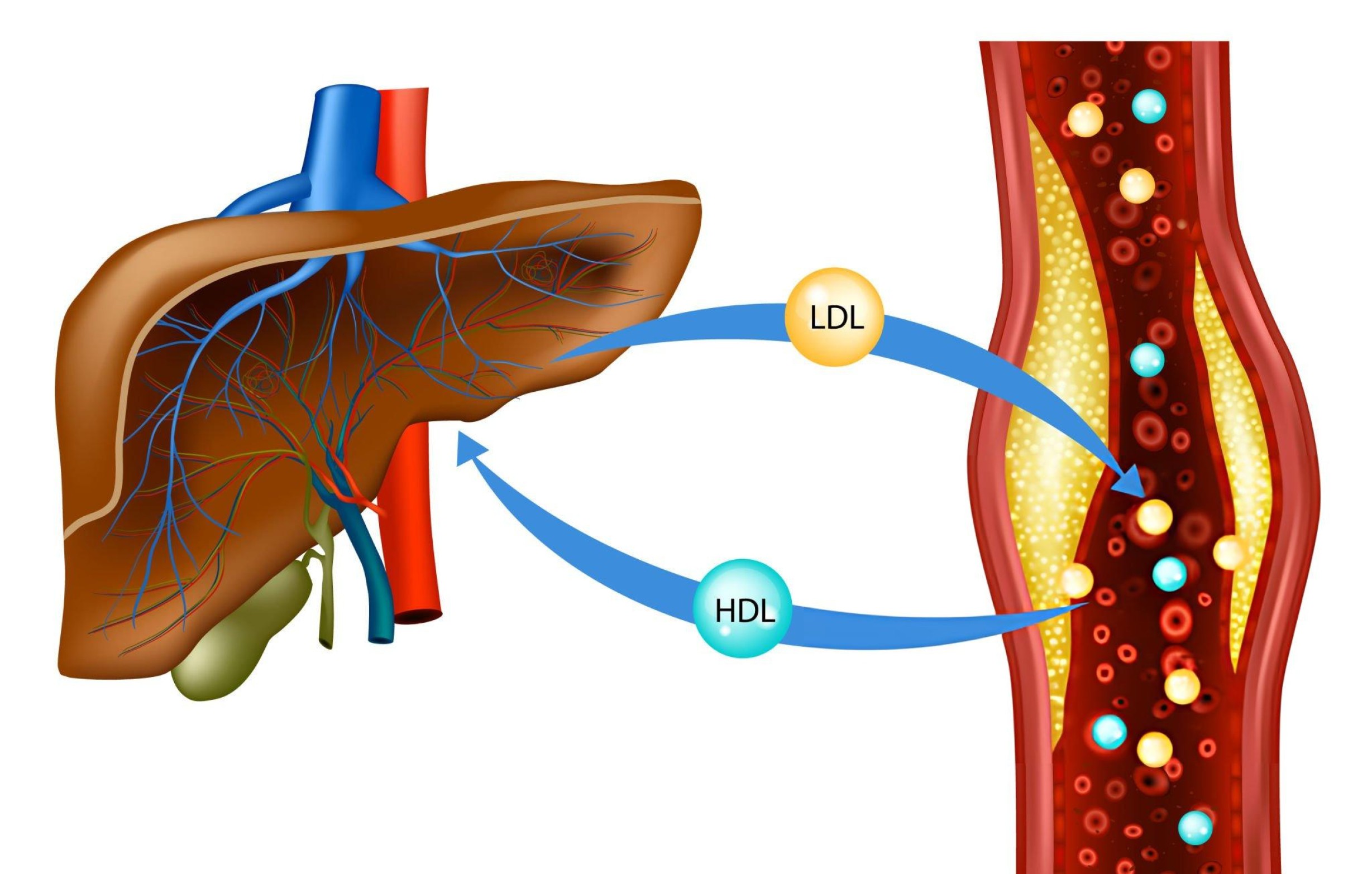 Innovative Technologie zur Knieschmerzbehandlung